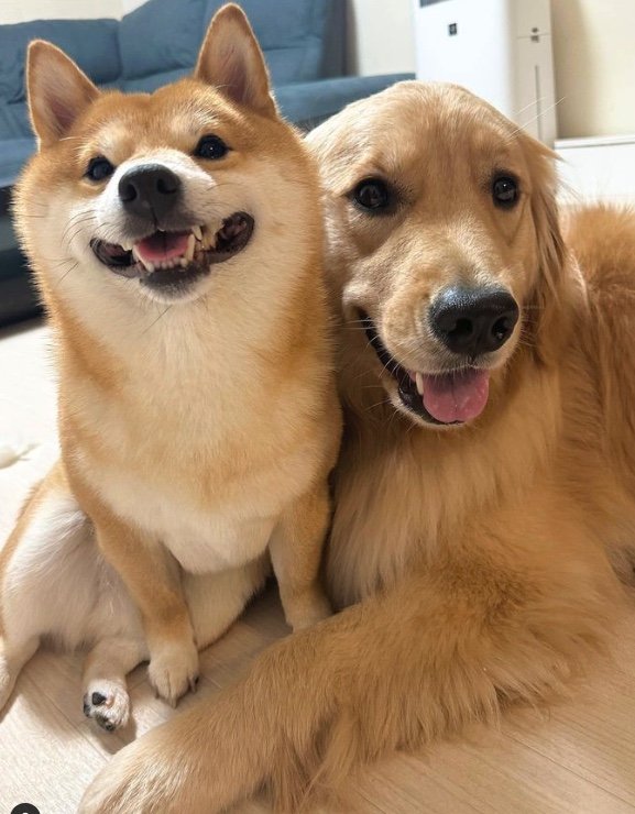 提供：うにandおからさん