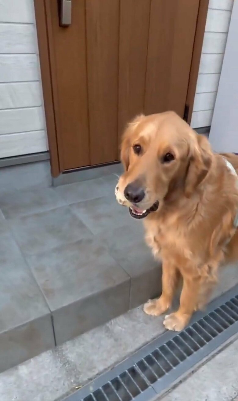 ラックスくんがボールを置きに。残念ながらセナくんは不在