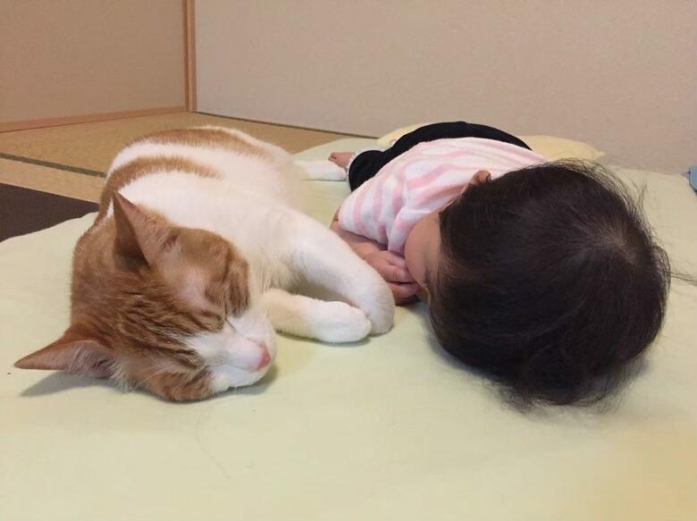 息子くんのお姉ちゃんが小さい頃もそばにいたはっさくくん（提供：Hassakuさん）