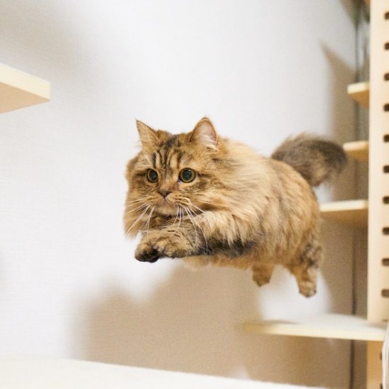 大ジャンプの瞬間