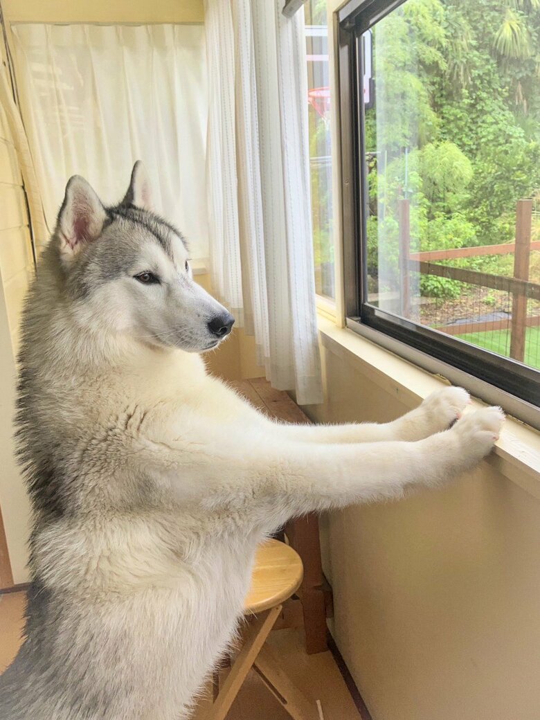 提供：スカイさん