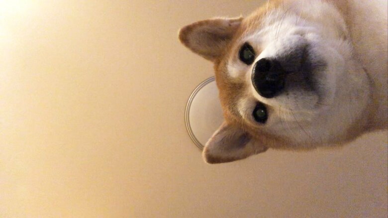 朝は毎日のように起こしにくるという