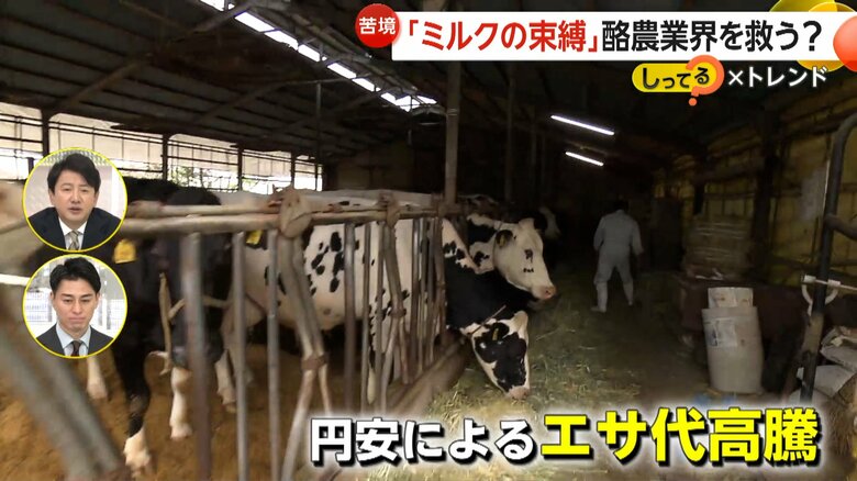 千葉・旭市の宇畑牧場