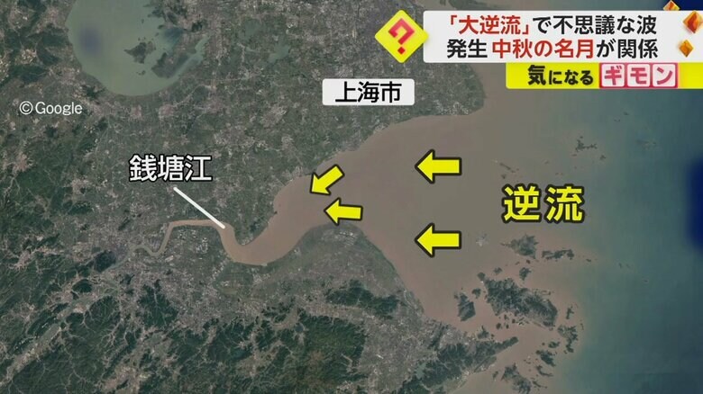 ラッパのように先が狭くなる川に逆流することで、様々な形の波が形成される