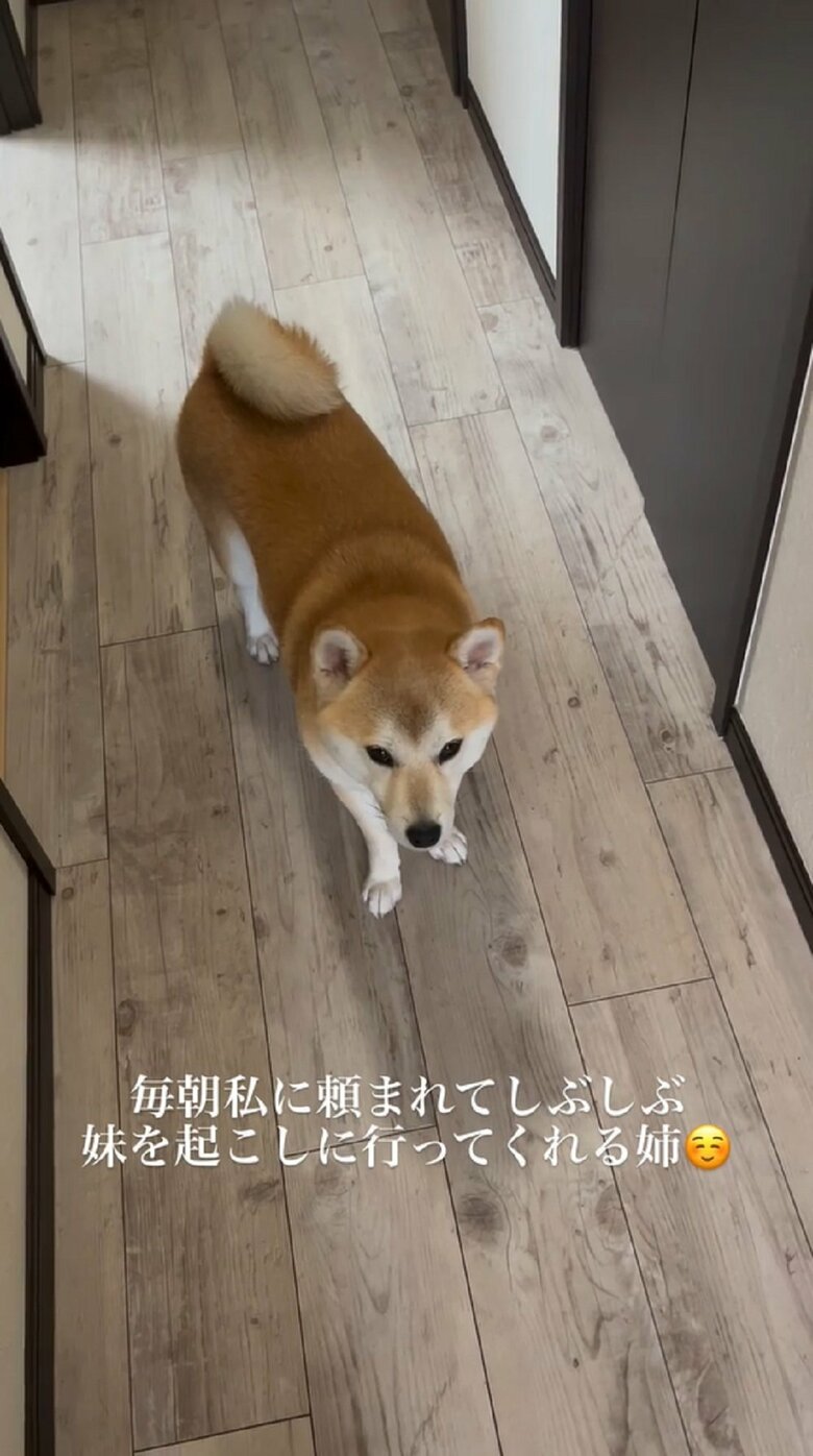 「うーん」