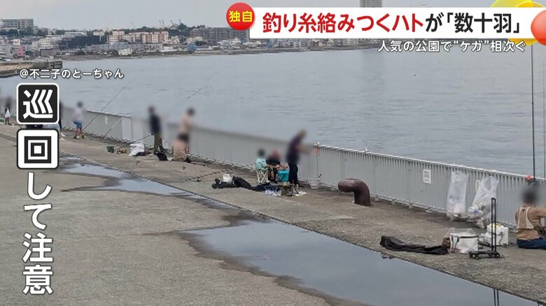 週末になると多くの釣り人が集まる大人気の釣りスポットになっている大蔵海岸公園