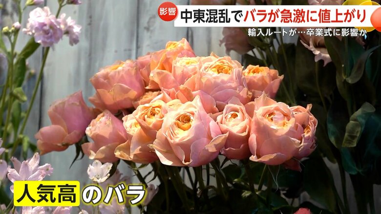 約2割値上がりしている卒業式シーズンに欠かせないバラ