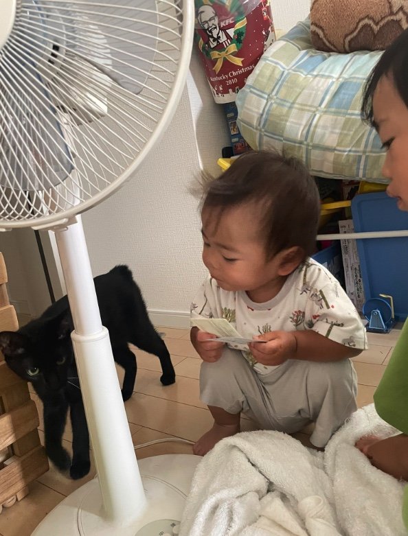 提供：ゴンゾウR4さん