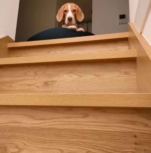 パパの帰宅を待っているところ