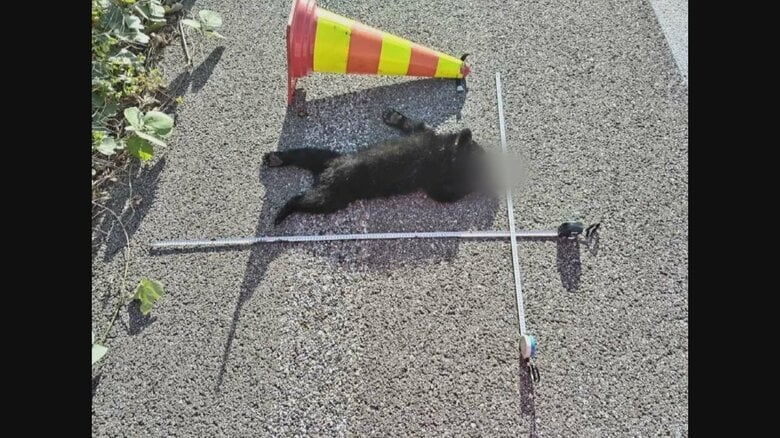 提供　中日本高速道路