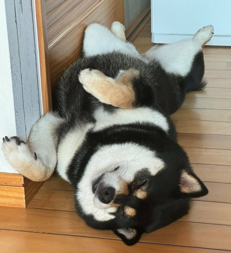 部屋の入り口を封鎖することも…
