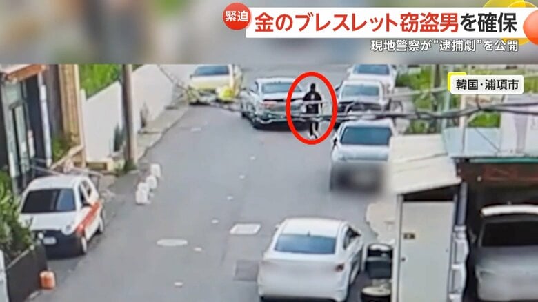 止めていた車に乗って逃走してしまった男
