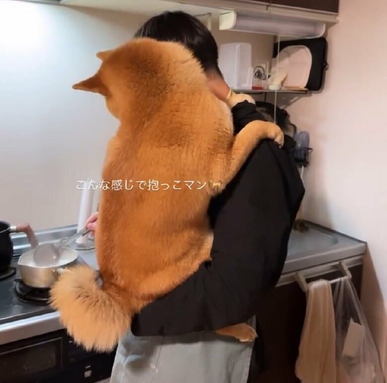 パパさんの手元を観察