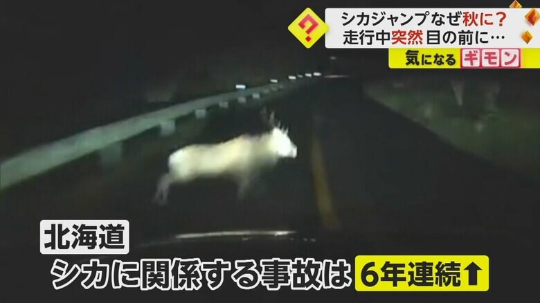 （FNN投稿サイト「ビデオPost」）