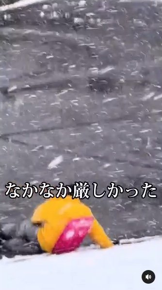 提供：ハスキーいちみちゃんと田舎暮らしさん