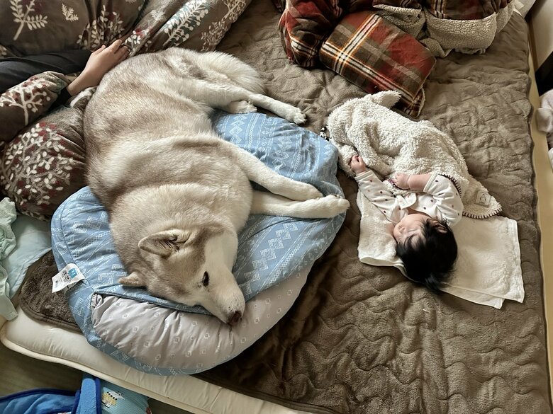 赤ちゃんに寄り添うヴィヴィアンくん