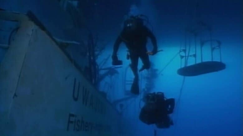 ダイバーによる海中捜索