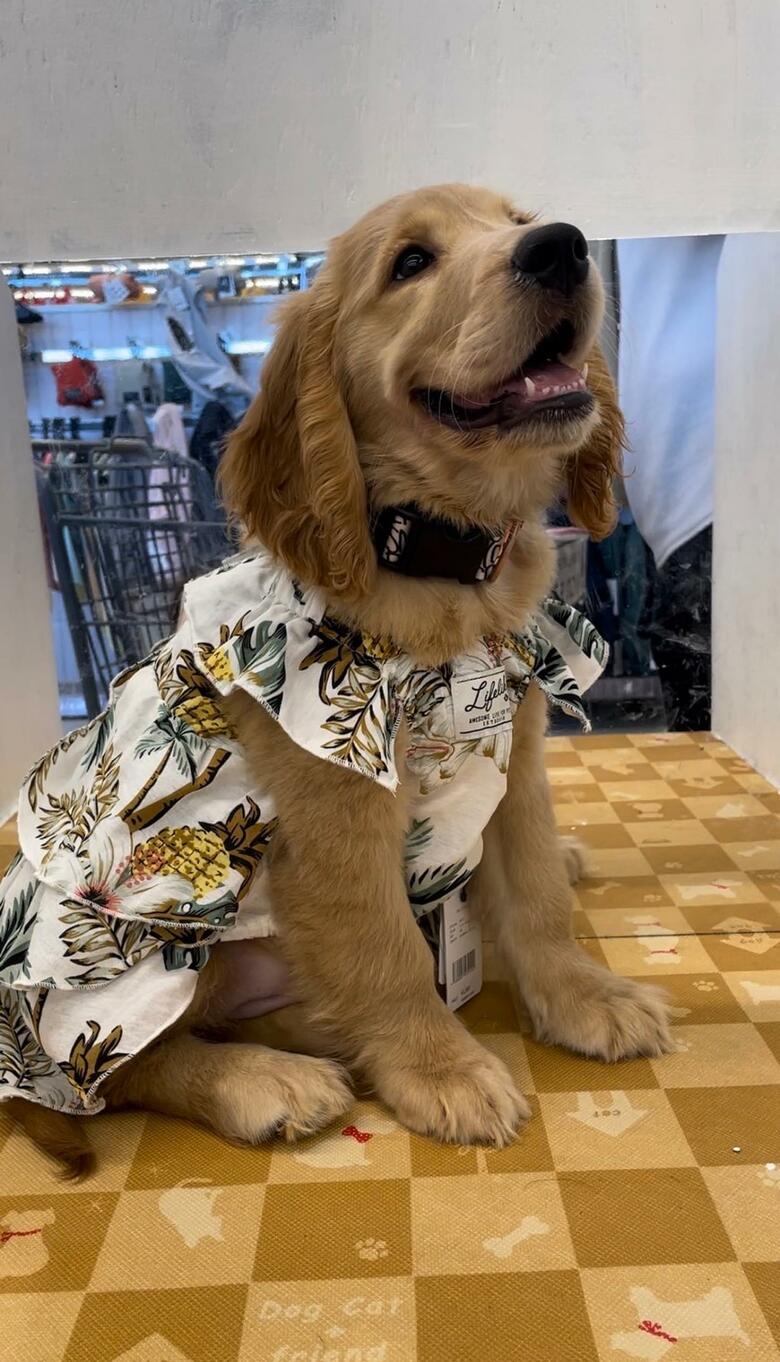 提供：関口和也さん