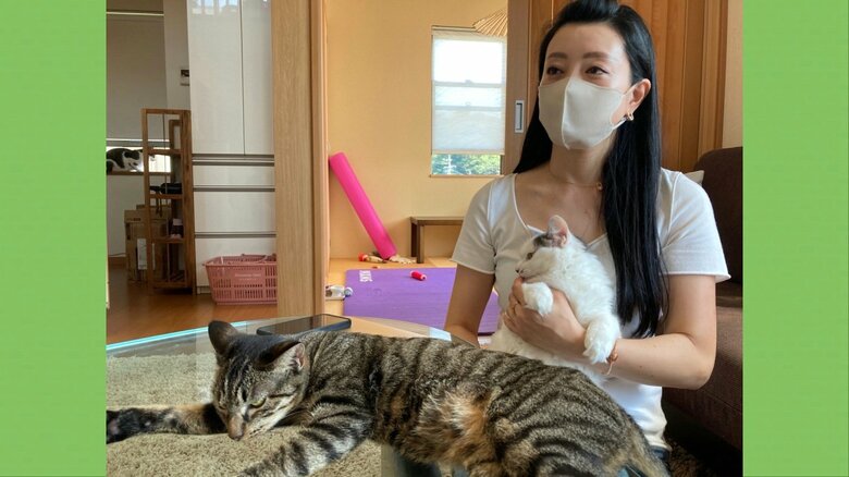 キャットレスキュー静岡ねこの会　粕谷心代表