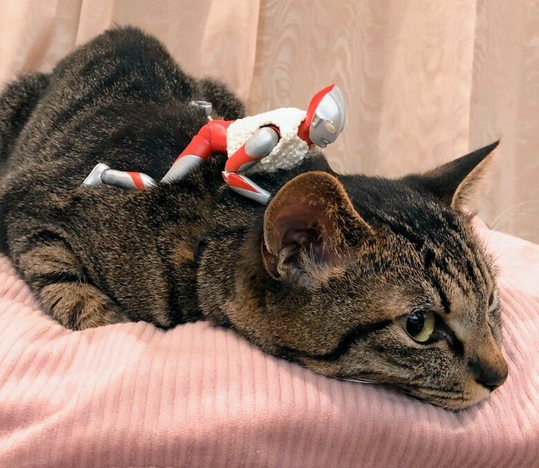 ネバーエンディングストーリーを再現