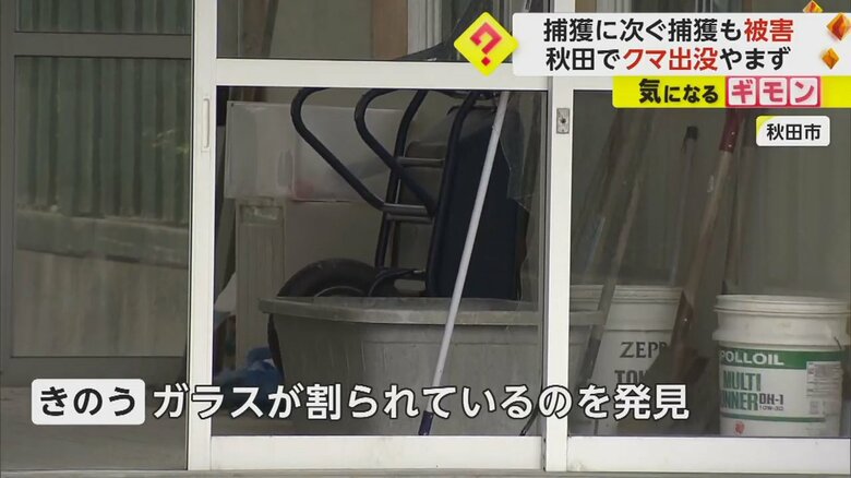 クマにより粉々に割られた住宅のガラス