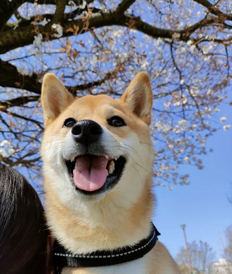 笑顔の可愛い蘭ちゃん