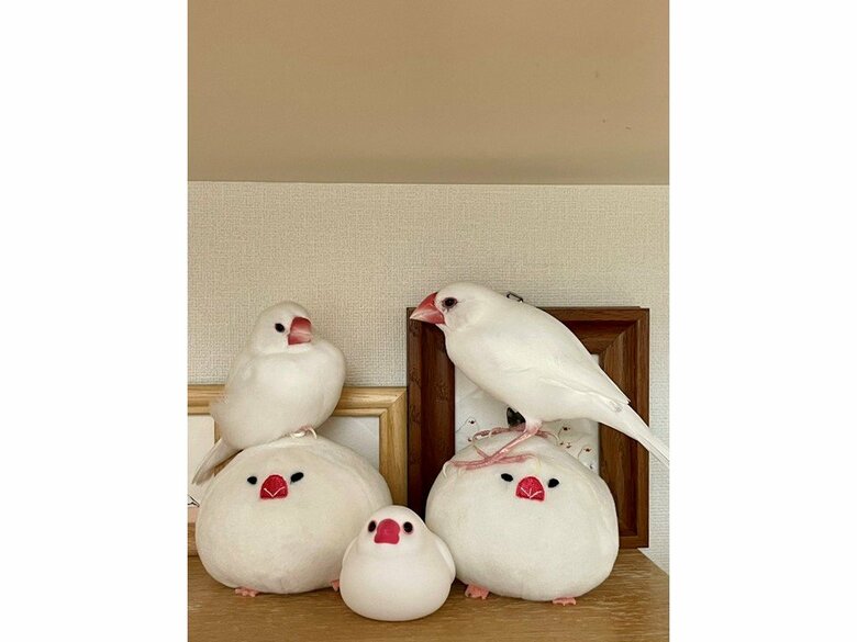 ててちゃん（左）、ろろちゃん（右）