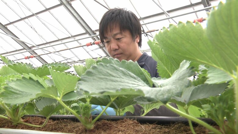 「腰を据えて地域を変えたい」と秋田に移住してきた中戸川将大さん