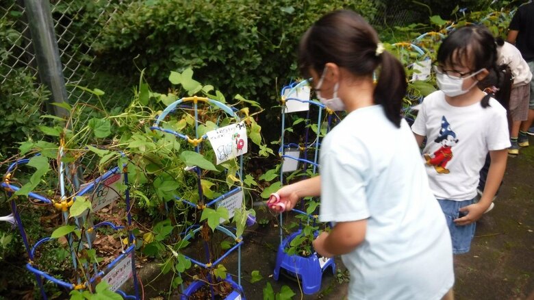 あさがおの鉢を運ぶ子どもたち（仲田小学校提供）