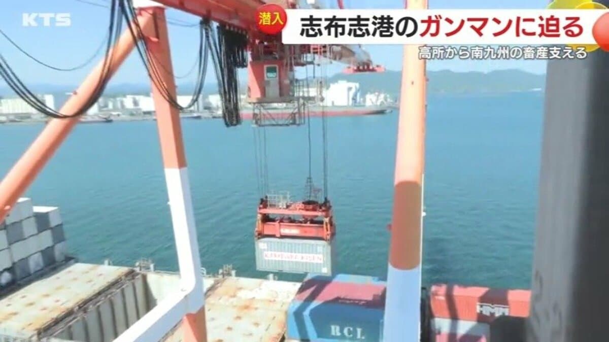 鹿児島・志布志港に「ガンマン」が!? その正体は正確なテクニックで