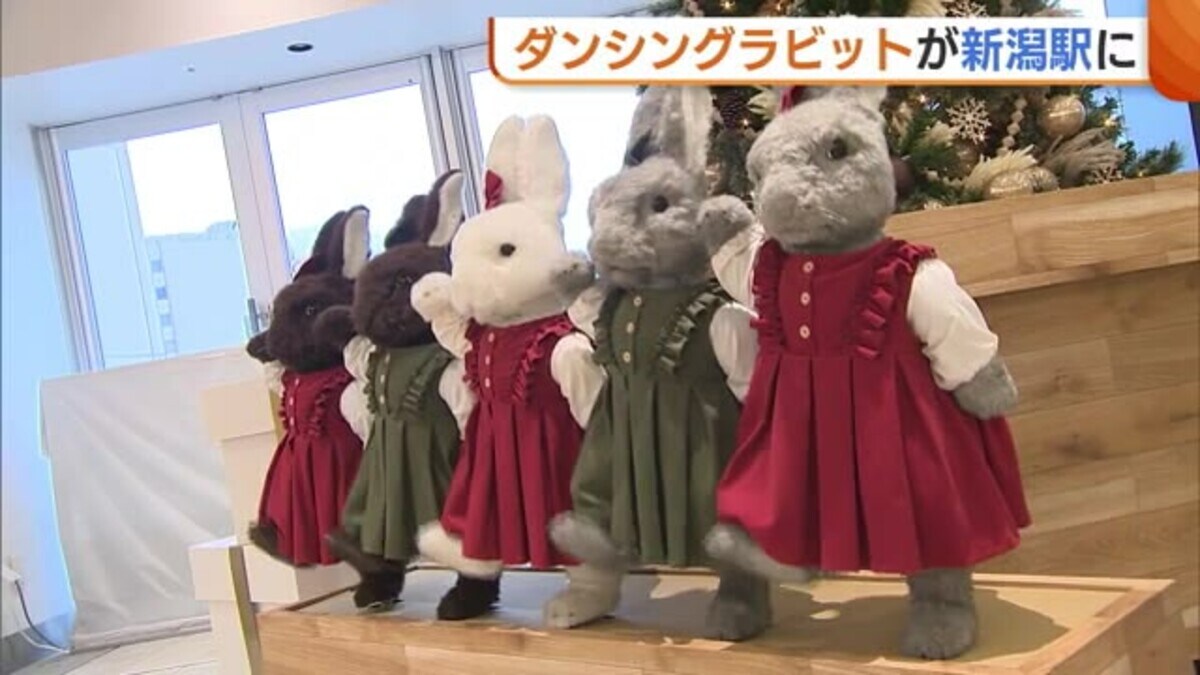 歌って踊るウサギたち♪ 冬の風物詩“ダンシングラビット”が新潟駅に