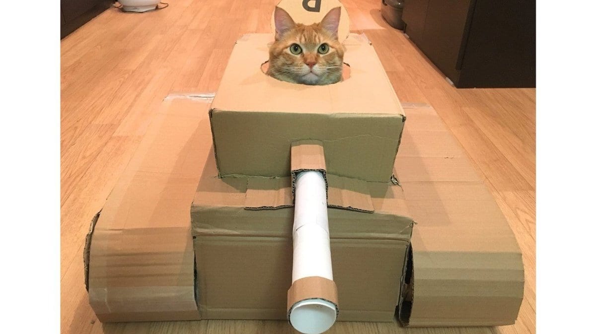 夫が段ボールで作った 猫戦車 が可愛い いい表情だが気に入ってくれたのか聞いた