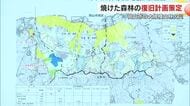 岡山県が岡山市南区で発生の大規模山林火災からの復旧計画を策定　総事業費見込みは約１６億円【岡山】