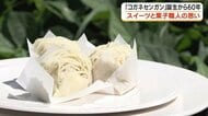 焼酎だけじゃない！鹿児島の誇り「コガネセンガン」が口どけスイーツ「ほろ雪」に　60周年記念で本格販売