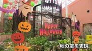 キクなど秋を彩る植物で　かわいらしいハロウィーンの世界を演出