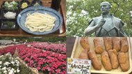 明智光秀生誕の地として注目！世界のバラが集う公園＆75円の絶品パンに「さしみうどん」…岐阜・可児市の魅力