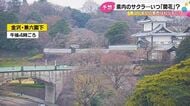 兼六園は4/4に満開か…石川県内のサクラの開花予想日 能登さくら駅は4/4に開花し10日に満開見込み