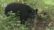 「まさか、こんな身近に」人気の観光地にクマ出没…外国人客が襲われ大けが　上高地の一部の遊歩道を閉鎖　