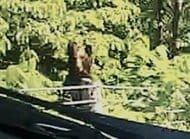 【ヒグマ速報】道路わきの藪から”ひょっこり”熊…ガードロープ乗り越え反対側の山へ…走行中のドライバーが体長約1.5メートルのクマ目撃〈北海道芦別市〉