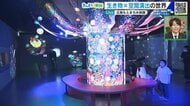 【中継】“街なか”で楽しむ『広島もとまち水族館』 海の生き物とアートがコラボ 幻想的な世界に感動