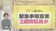 緊急事態宣言”2週間延長”を検討…6つの指標は何を示す?新たに対策を加える必要は?
