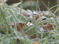 岐阜・高山市では3.9度…寒気流れ込み東海3県の全観測地点で今季の最低気温を観測 名古屋で11.4度