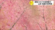 新型コロナの収束願い 山本祐嗣の世界展 宮崎県