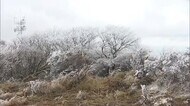 今季1番の強い寒気 鶴見岳で初霧氷 大分