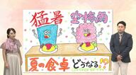 「猛暑」「空梅雨」で夏の食卓はどうなる？「夏野菜」は順調だが「葉物野菜」は高くなるかも…気象予報士と野菜の専門家が解説