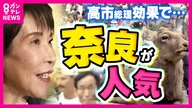 “サナ活”で盛り上がる奈良　土産物店ではグッズがずらり　高市総理のカード付き「サナ活ランチ」は7割が予約　追い風の一方で逆風も