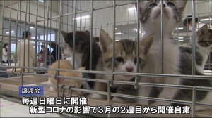 みやざき動物愛護センター 3カ月ぶりの譲渡会 宮崎県