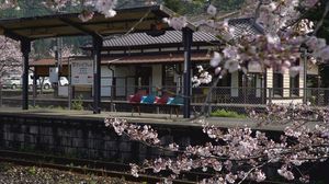 花吹雪舞う桜のトンネル 築105年の歴史ある駅舎「採銅所」【福岡発】