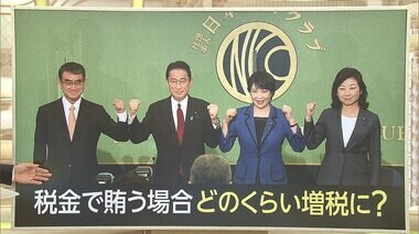 総裁選で見解分かれる どうなる私たちの年金...保険料やめて消費増税?