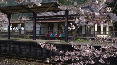 花吹雪舞う桜のトンネル 築105年の歴史ある駅舎「採銅所」【福岡発】